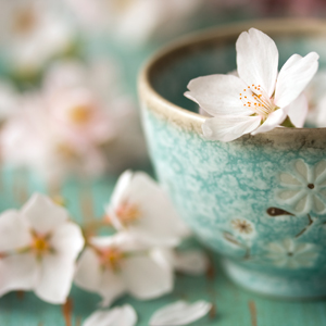 bowlflowers bowlflowers
