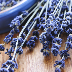 lavendar lavendar